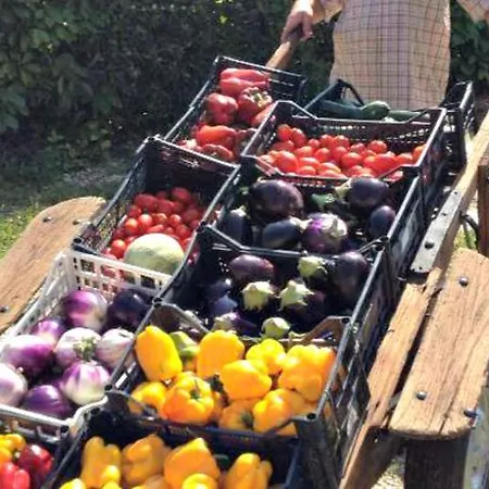 Agriturismo Al Capitellon